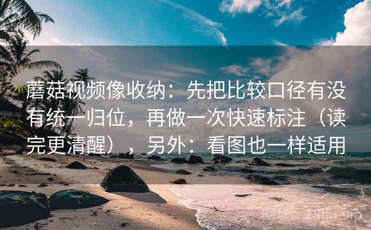 蘑菇视频像收纳：先把比较口径有没有统一归位，再做一次快速标注（读完更清醒），另外：看图也一样适用